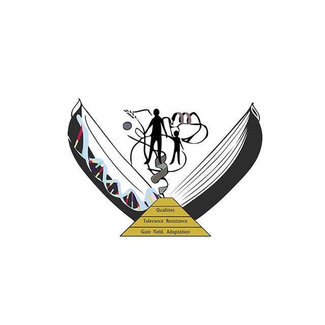 All in one population tools